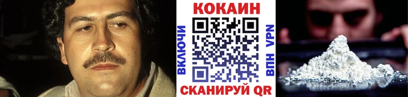 COCAIN FishScale  Купить закладки  Заринск 