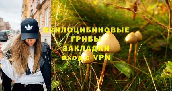 МДПВ Елабуга