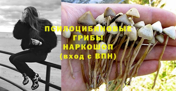 МДПВ Елабуга