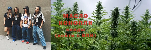кокс Ельня