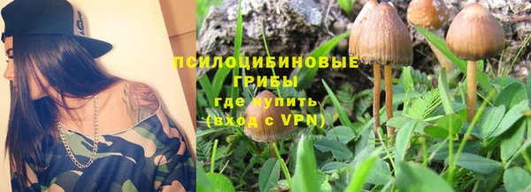 кокс Ельня