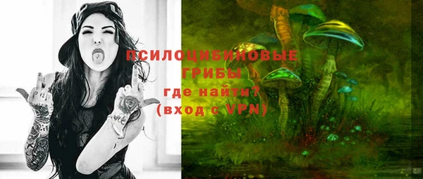 кокс Ельня
