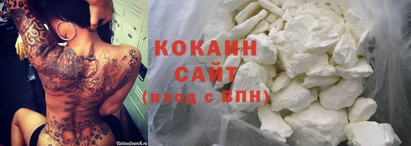 кокс Ельня